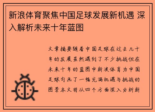 新浪体育聚焦中国足球发展新机遇 深入解析未来十年蓝图